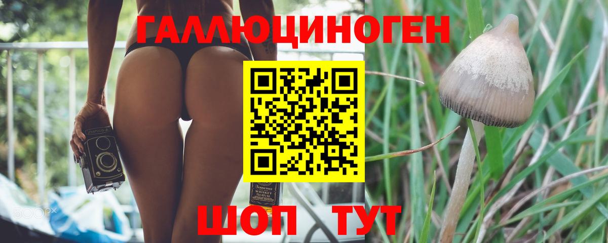 как найти закладки  Псилоцибиновые грибы Psilocybe  Псилоцибиновые грибы MAGIC MUSHROOMS  Вход с VPN  Крымск 